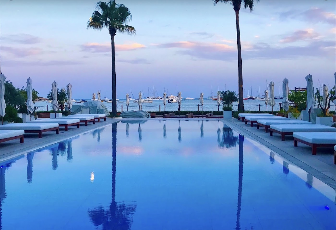 Nobu Hotel Ibiza Bay, dog-friendly hotel, photo 4