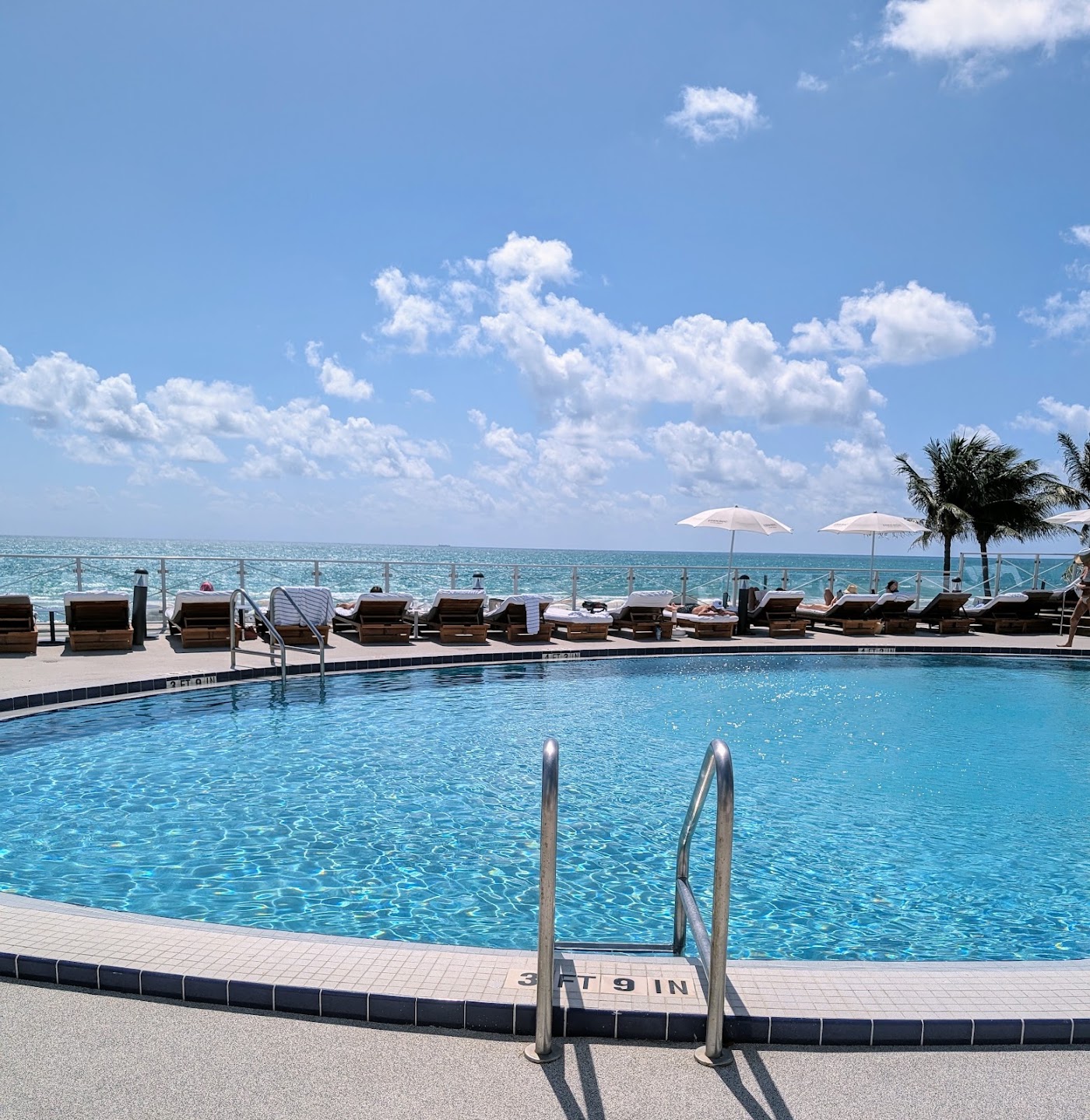 Nobu Hotel Miami Beach, dog-friendly hotel, photo 4