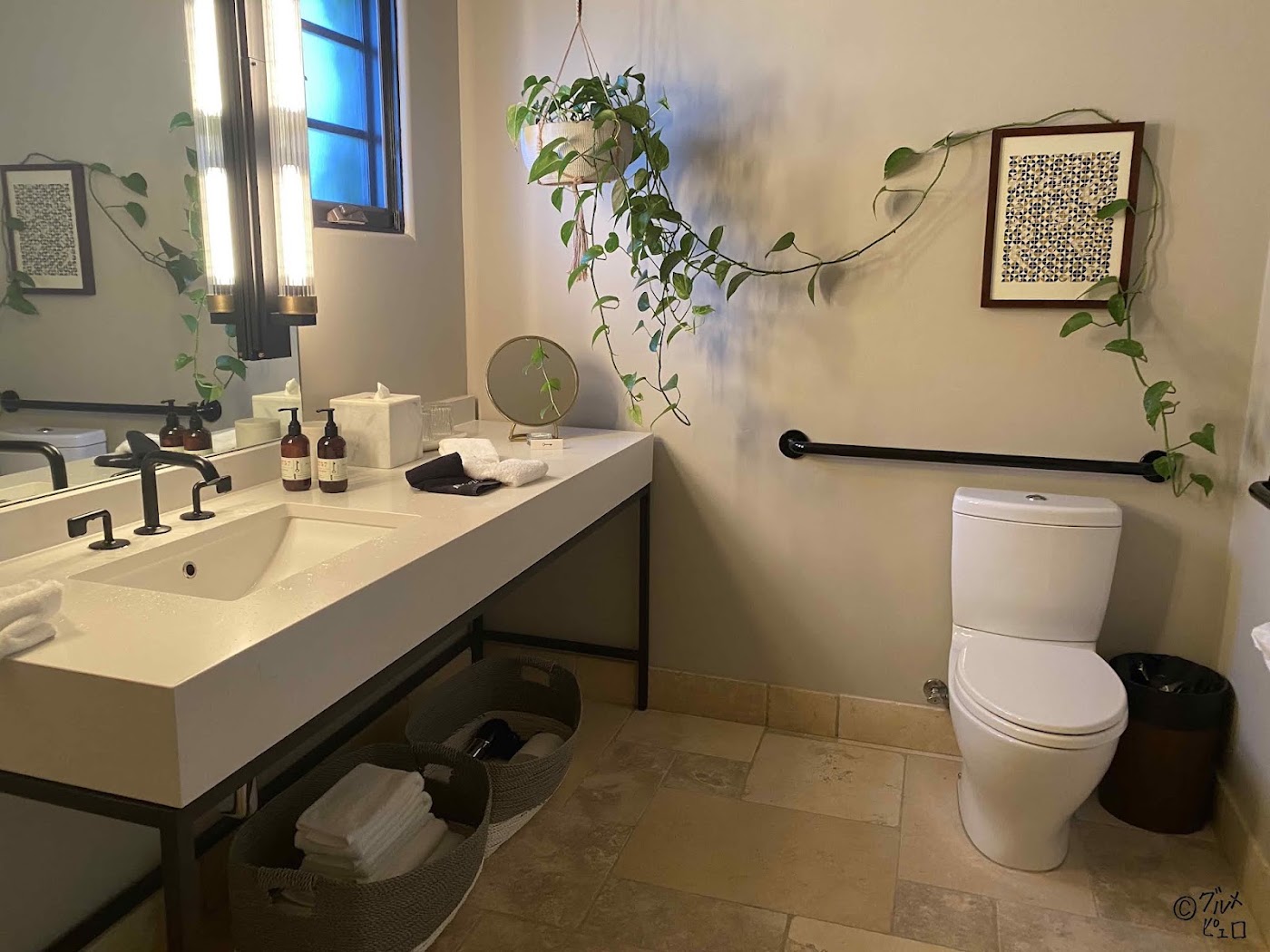 North Block, dog-friendly hotel, photo 4