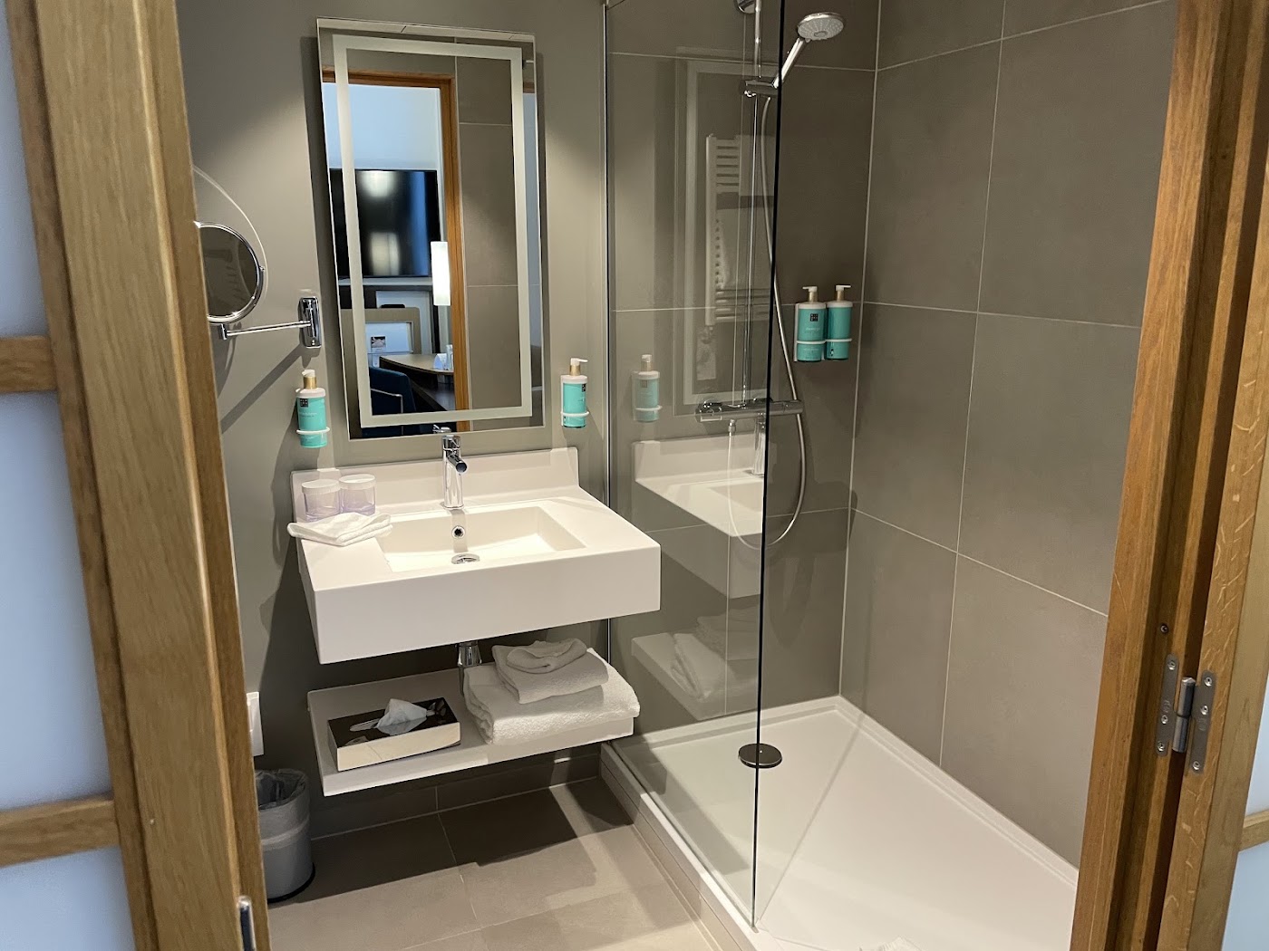 Novotel Genève Centre, dog-friendly hotel, photo 4