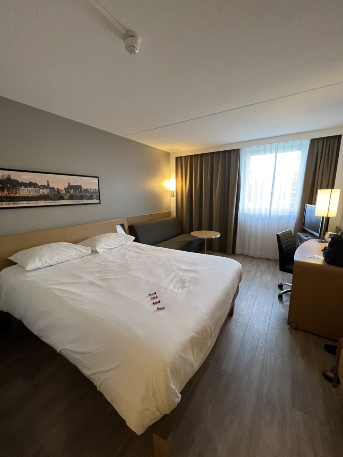 Novotel Maastricht, dog-friendly hotel, photo 3