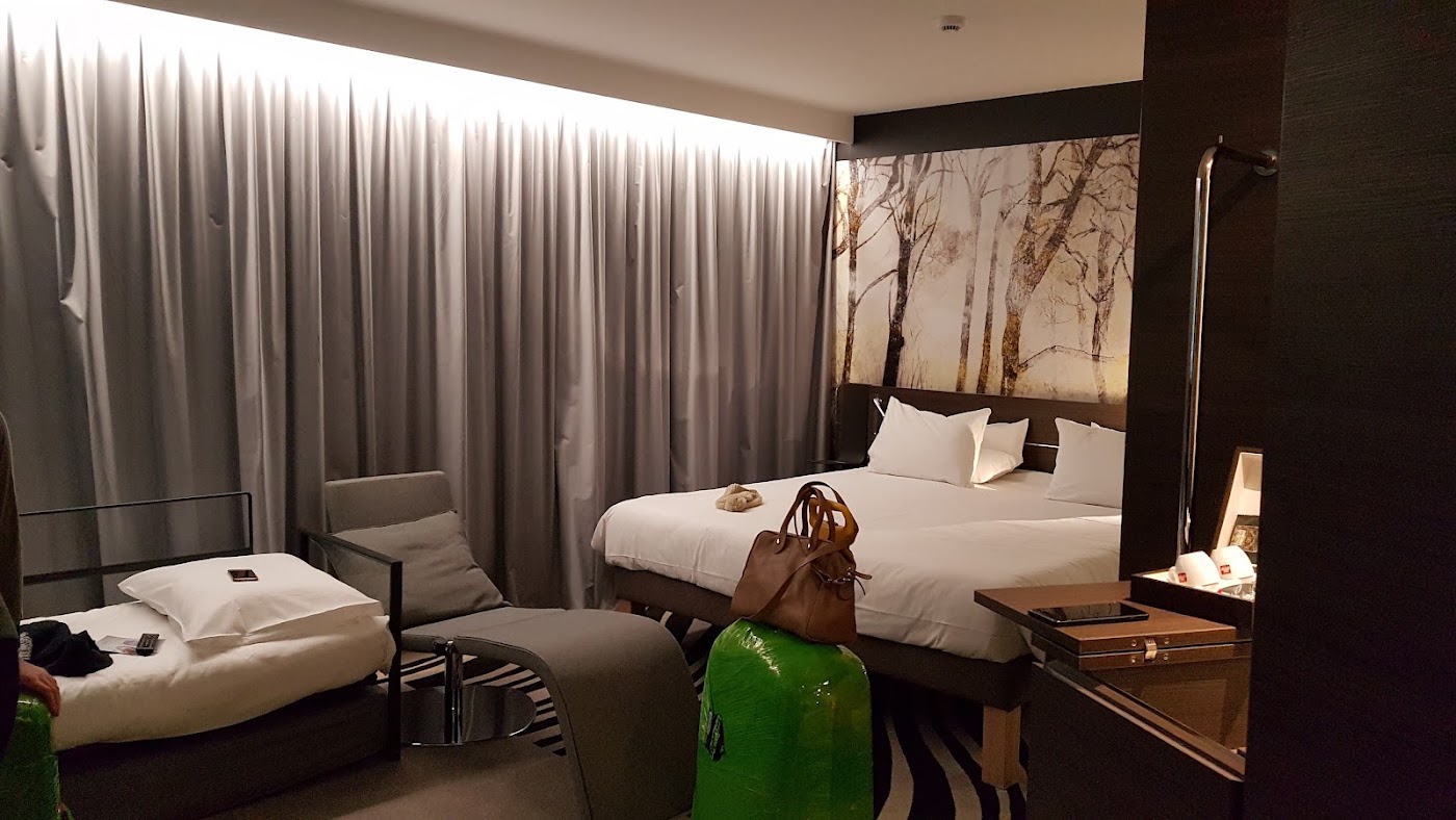 Novotel Suites Colmar Centre, dog-friendly hotel, photo 2