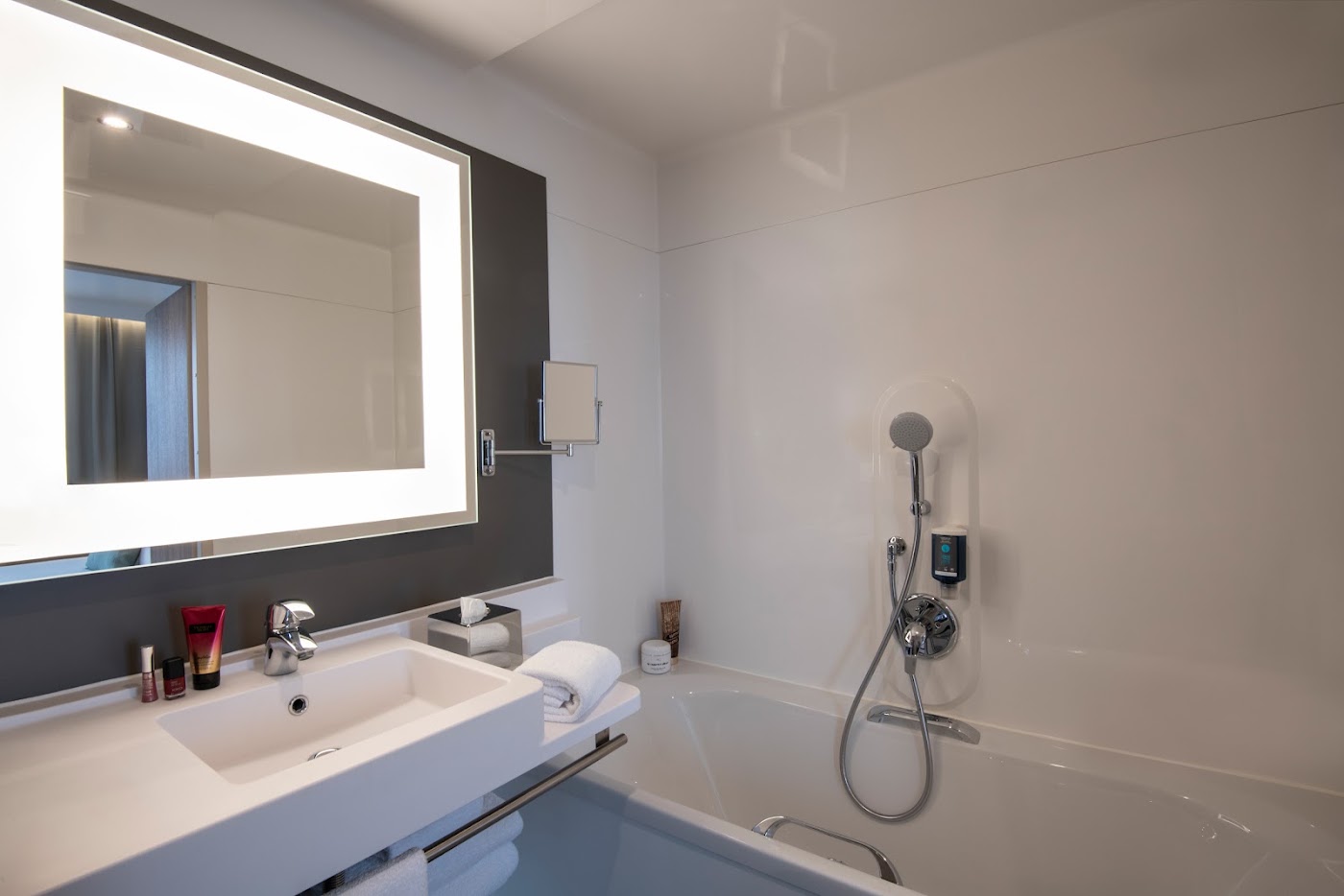 Novotel Suites Nice Airport, dog-friendly hotel, photo 5