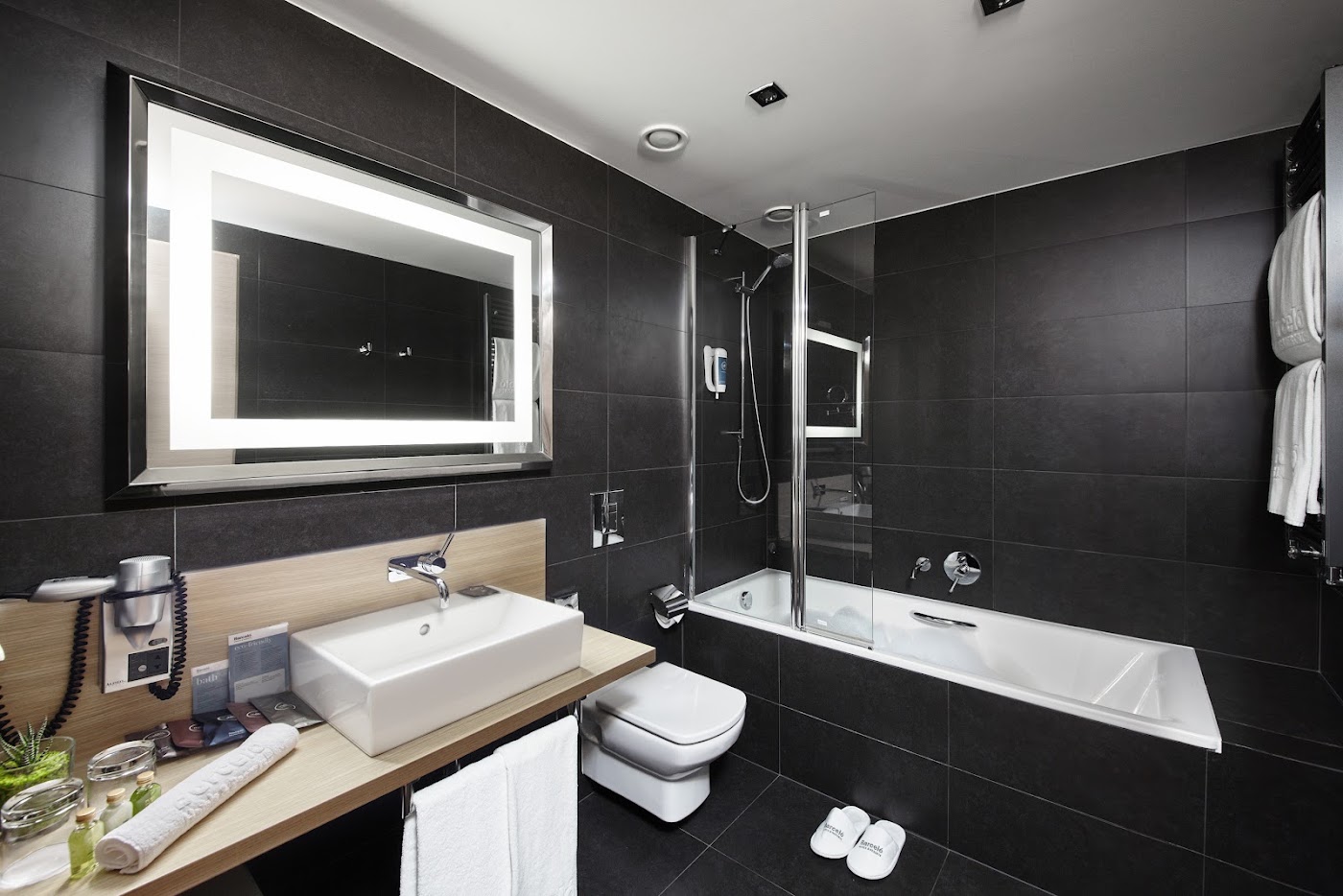 Occidental Praha Five, dog-friendly hotel, photo 4