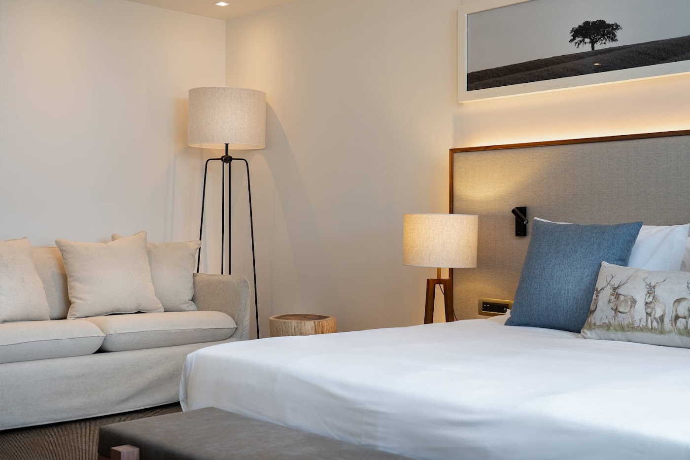 Octant Évora, dog-friendly hotel, photo 3