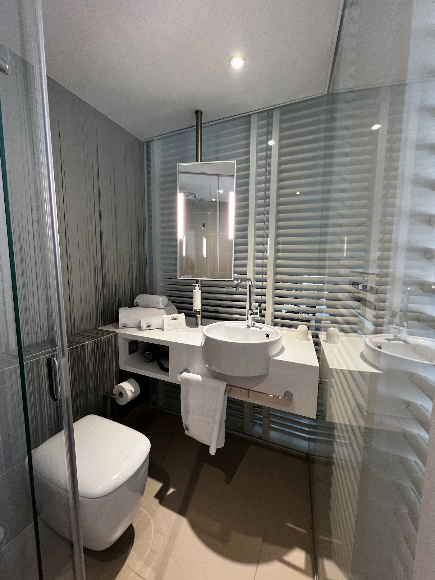 OKKO Hotels Lyon Pont Lafayette, dog-friendly hotel, photo 4