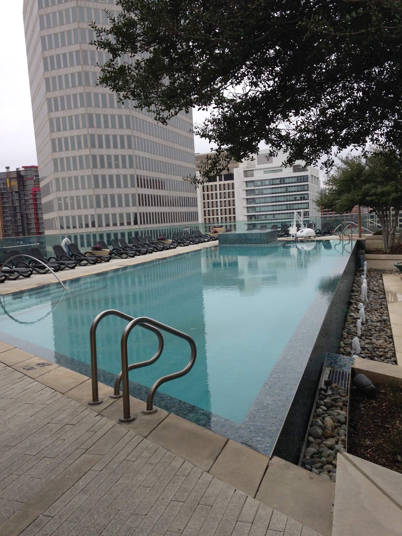 Omni Dallas Hotel, dog-friendly hotel, photo 4