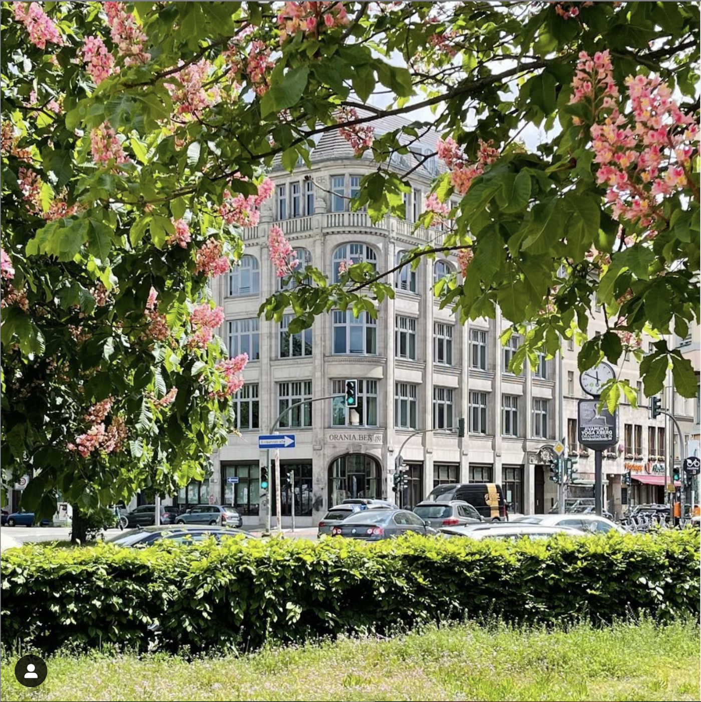 Orania.Berlin, dog-friendly hotel, photo 5