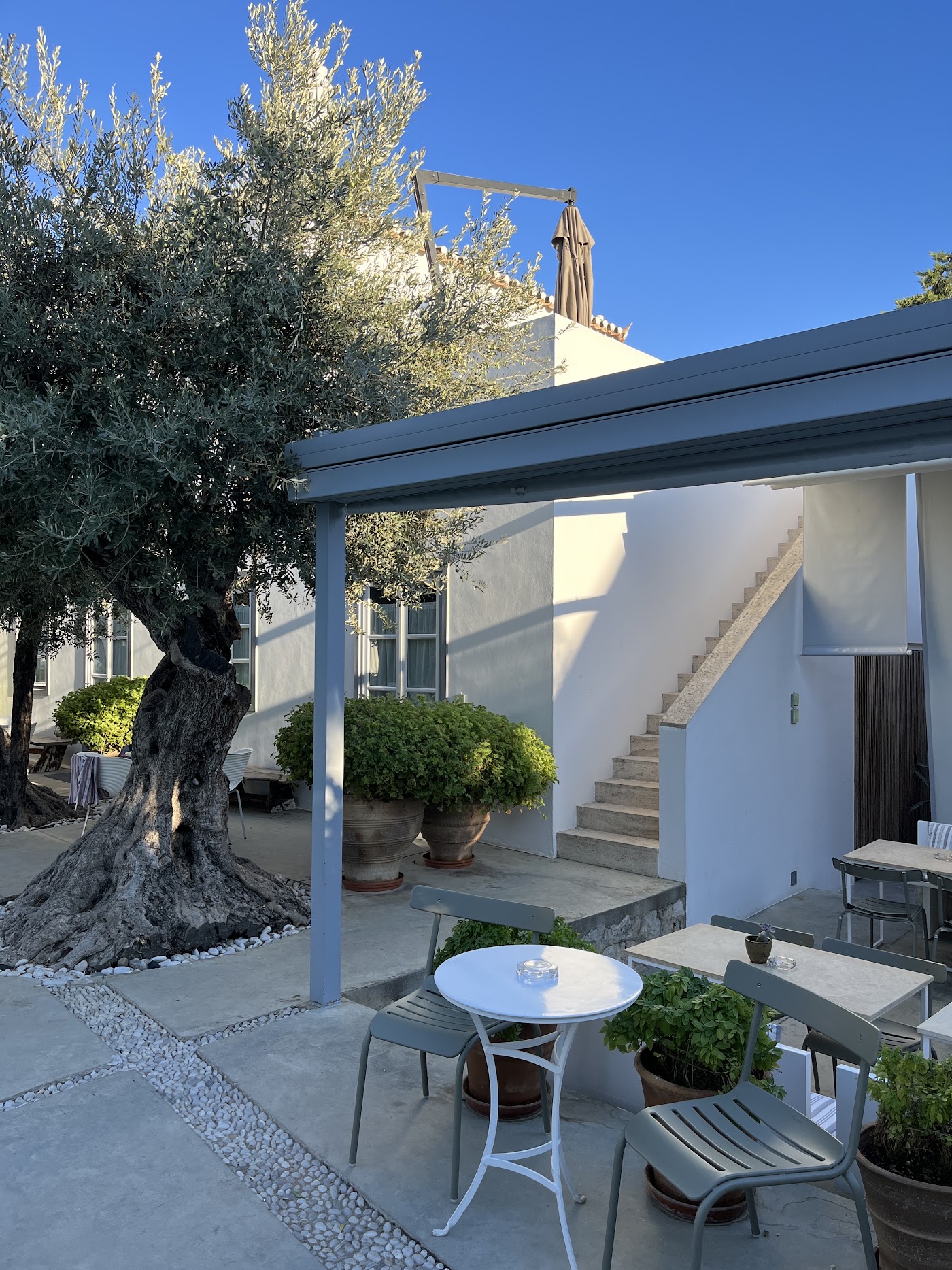 Orloff Resort, dog-friendly hotel, photo 2
