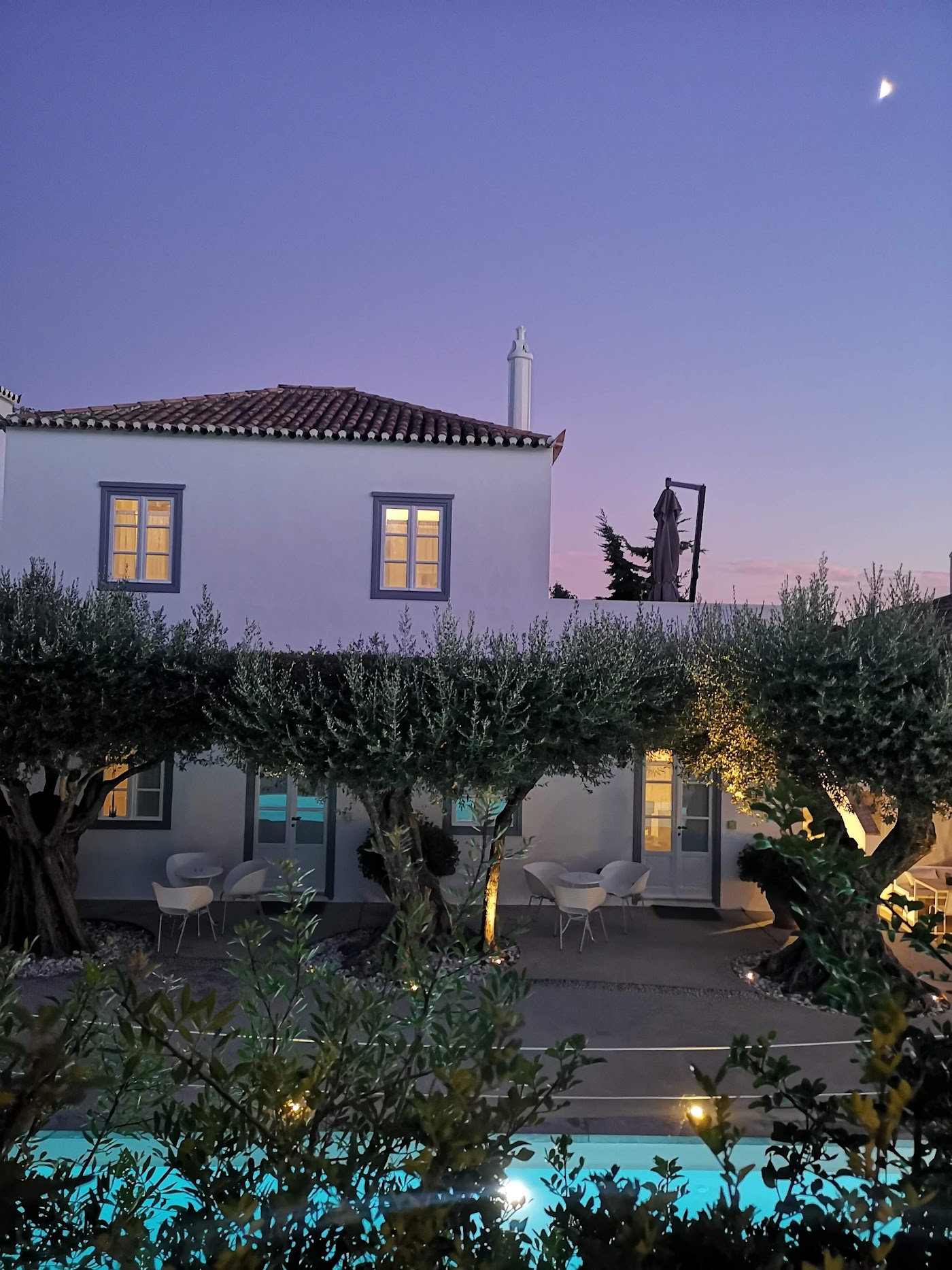 Orloff Resort, dog-friendly hotel, photo 5