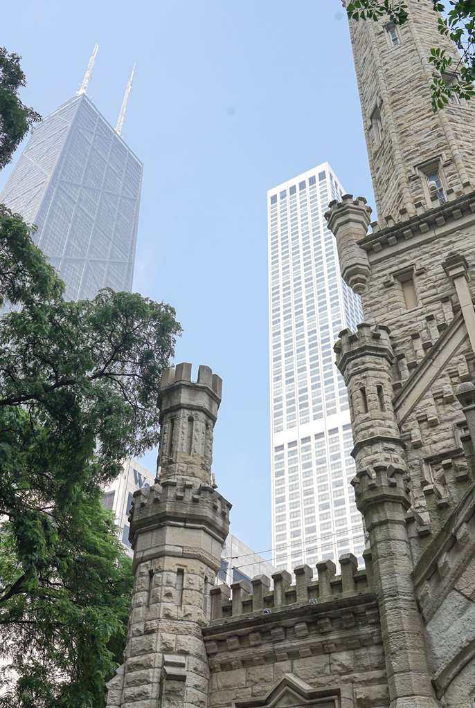 Park Hyatt Chicago, dog-friendly hotel, photo 2