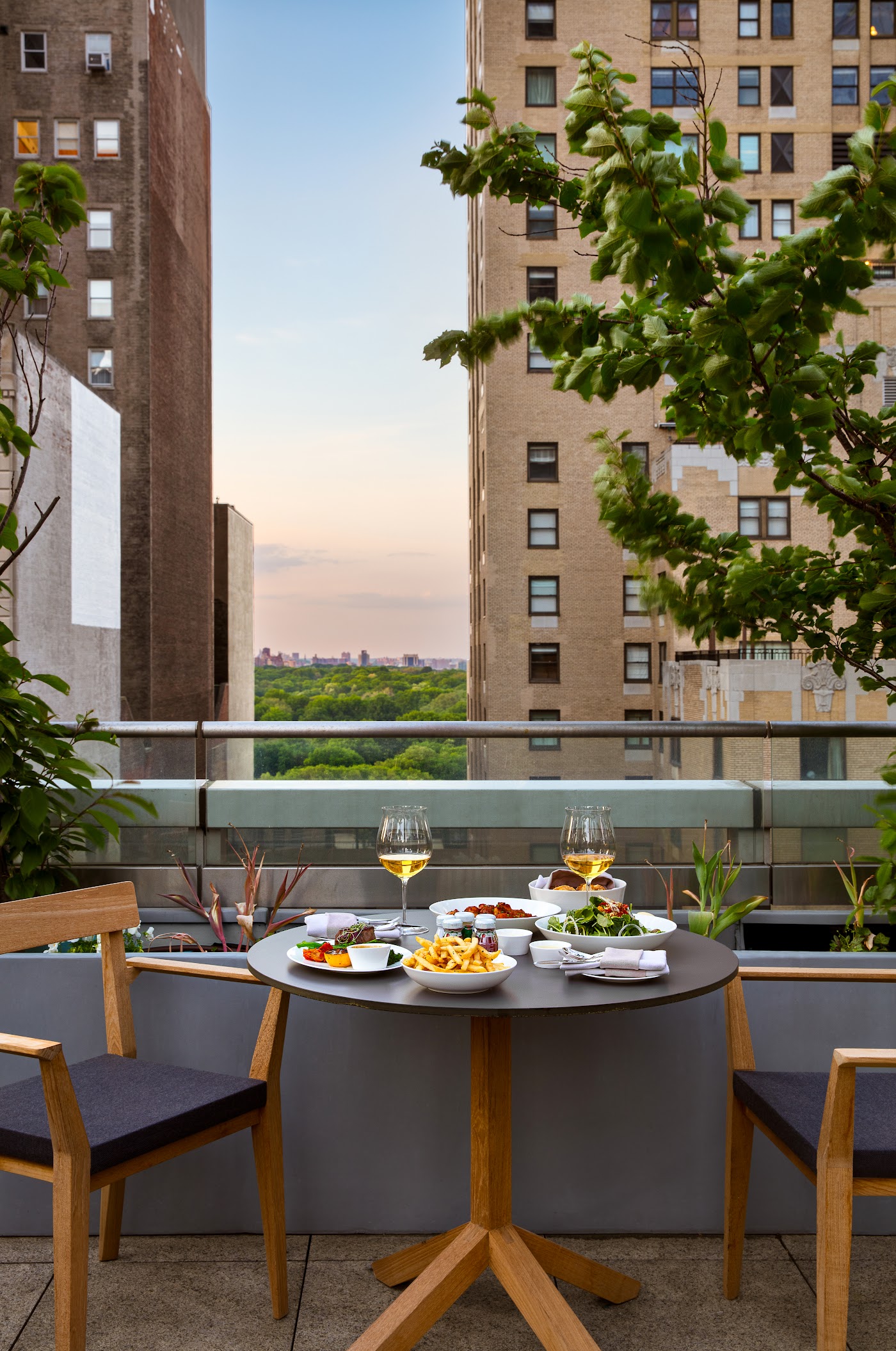 Park Hyatt New York, dog-friendly hotel, photo 2