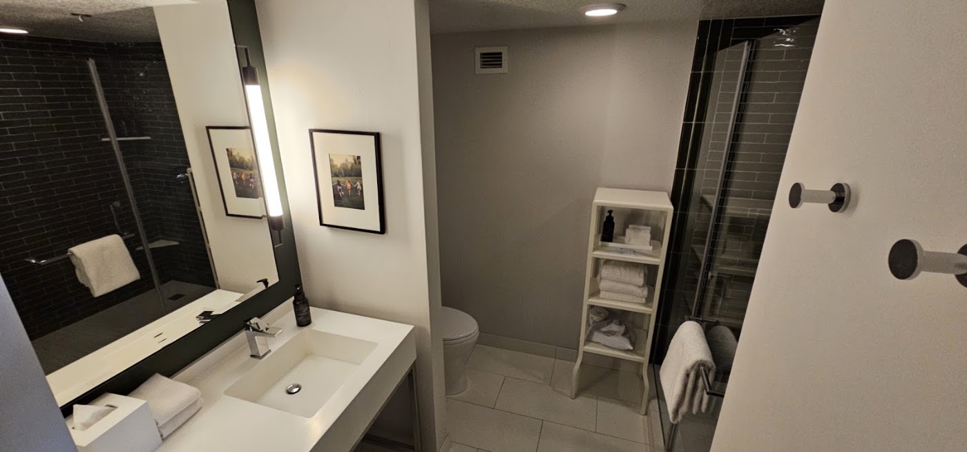 Park MGM Las Vegas, dog-friendly hotel, photo 5