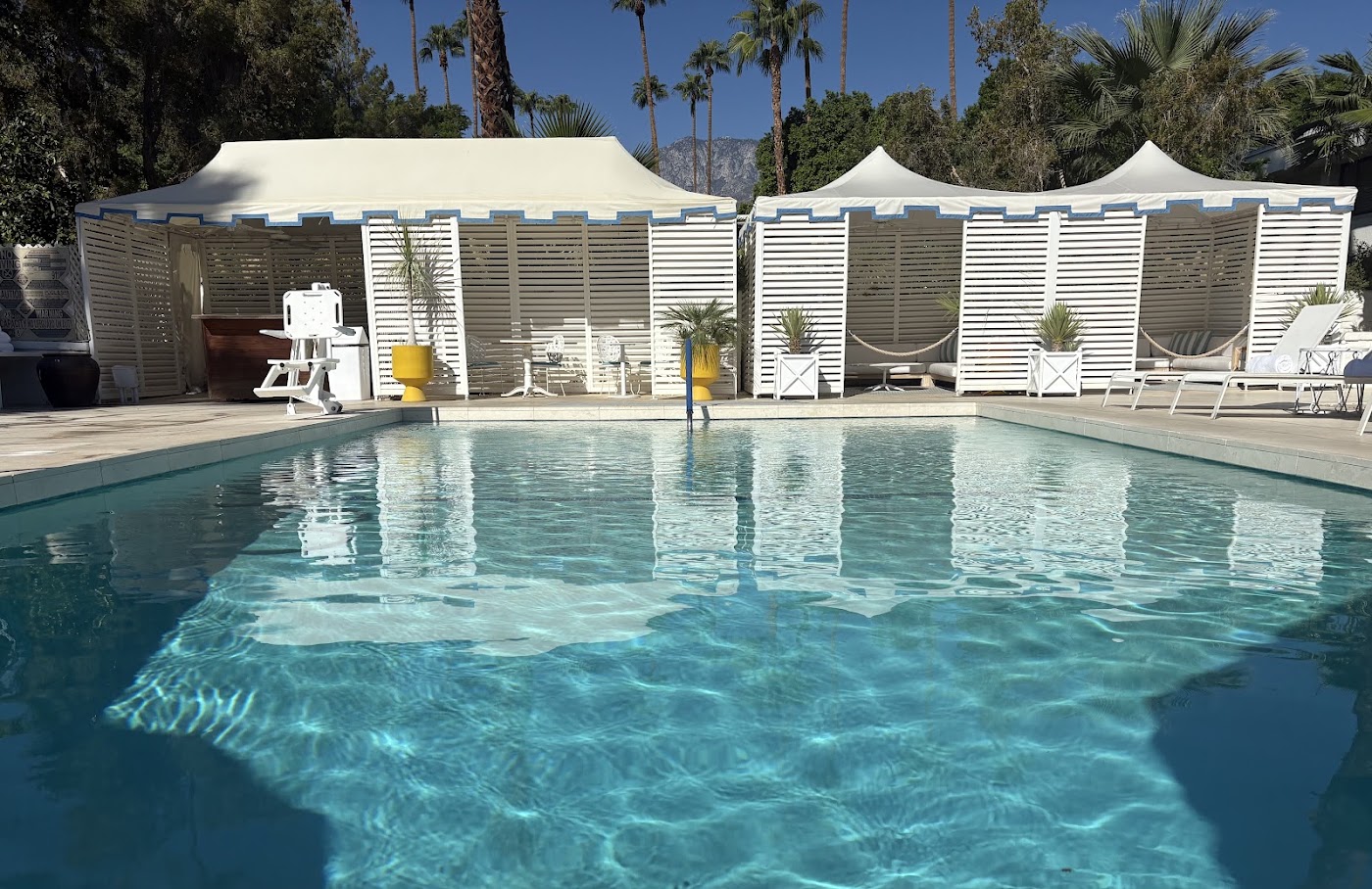 Parker Palm Springs, dog-friendly hotel, photo 4