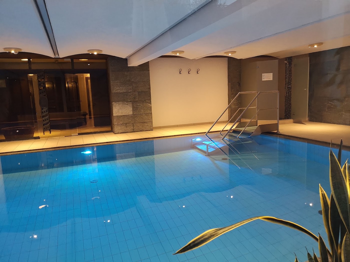 Parkhotel Seefeld, dog-friendly hotel, photo 4