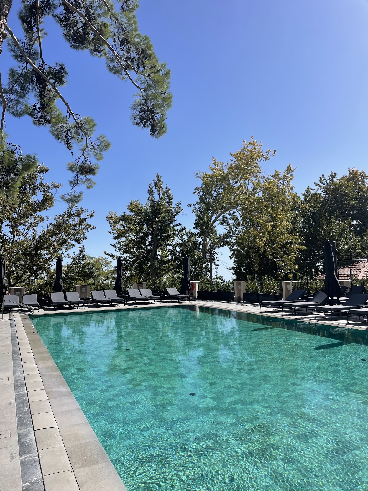 Pendeli Resort, dog-friendly hotel, photo 4