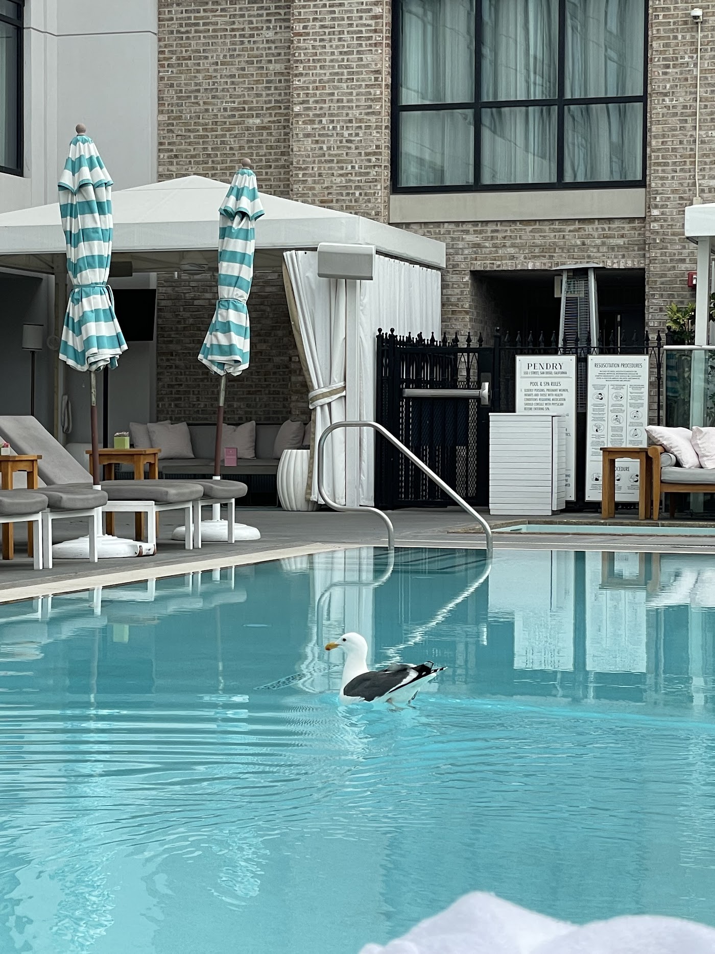 Pendry San Diego, dog-friendly hotel, photo 4
