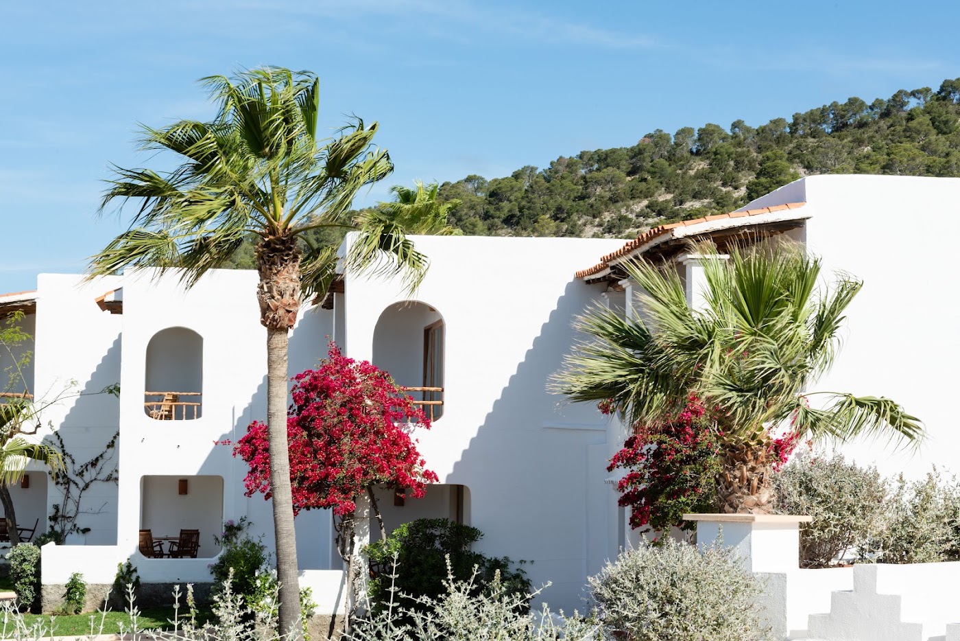 Petunia Ibiza, a Beaumier Hotel, dog-friendly hotel, photo 2
