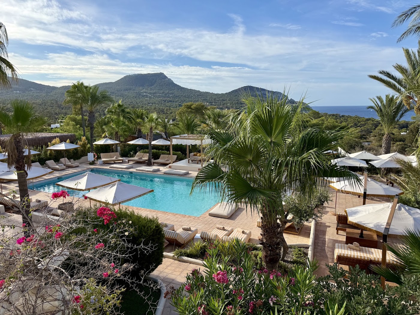 Petunia Ibiza, a Beaumier Hotel, dog-friendly hotel, photo 4
