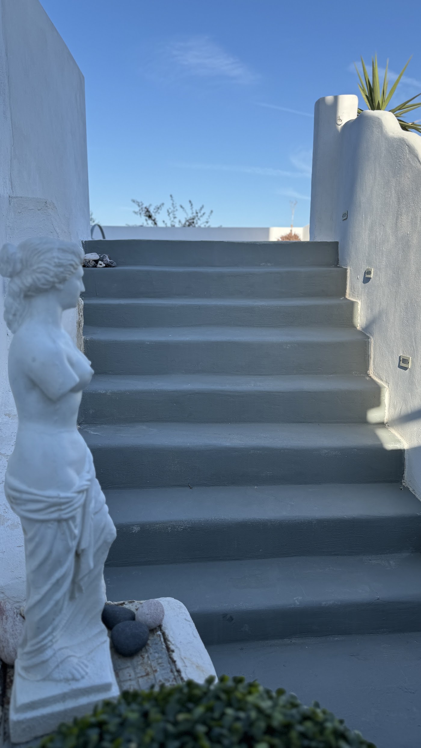 Prickly Pear House, dog-friendly hotel, photo 2
