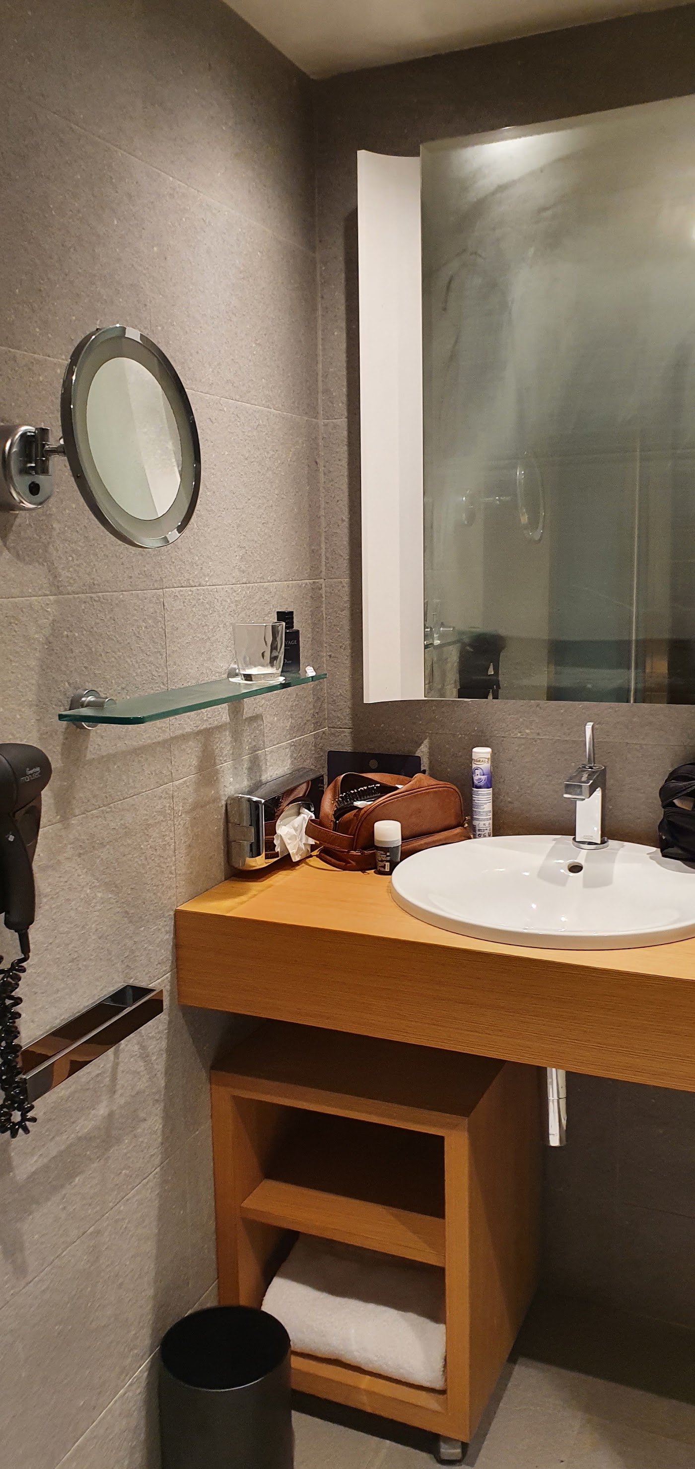 Pullman Bordeaux Lac, dog-friendly hotel, photo 5