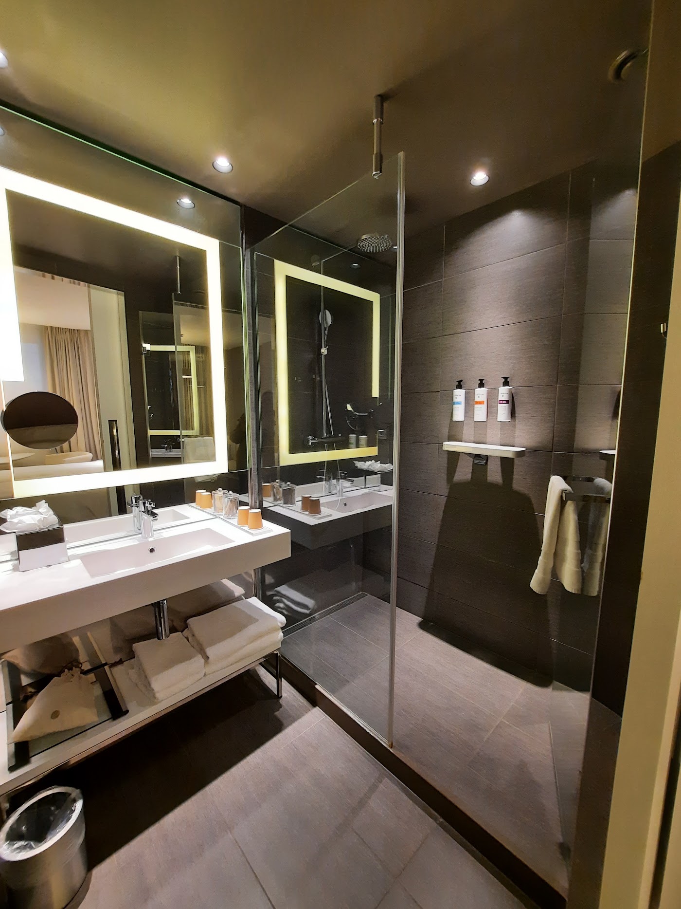 Pullman Brussels Centre Midi, dog-friendly hotel, photo 4