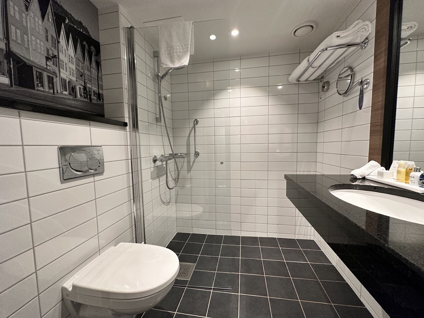 Radisson Blu Royal Hotel, Bergen, dog-friendly hotel, photo 5