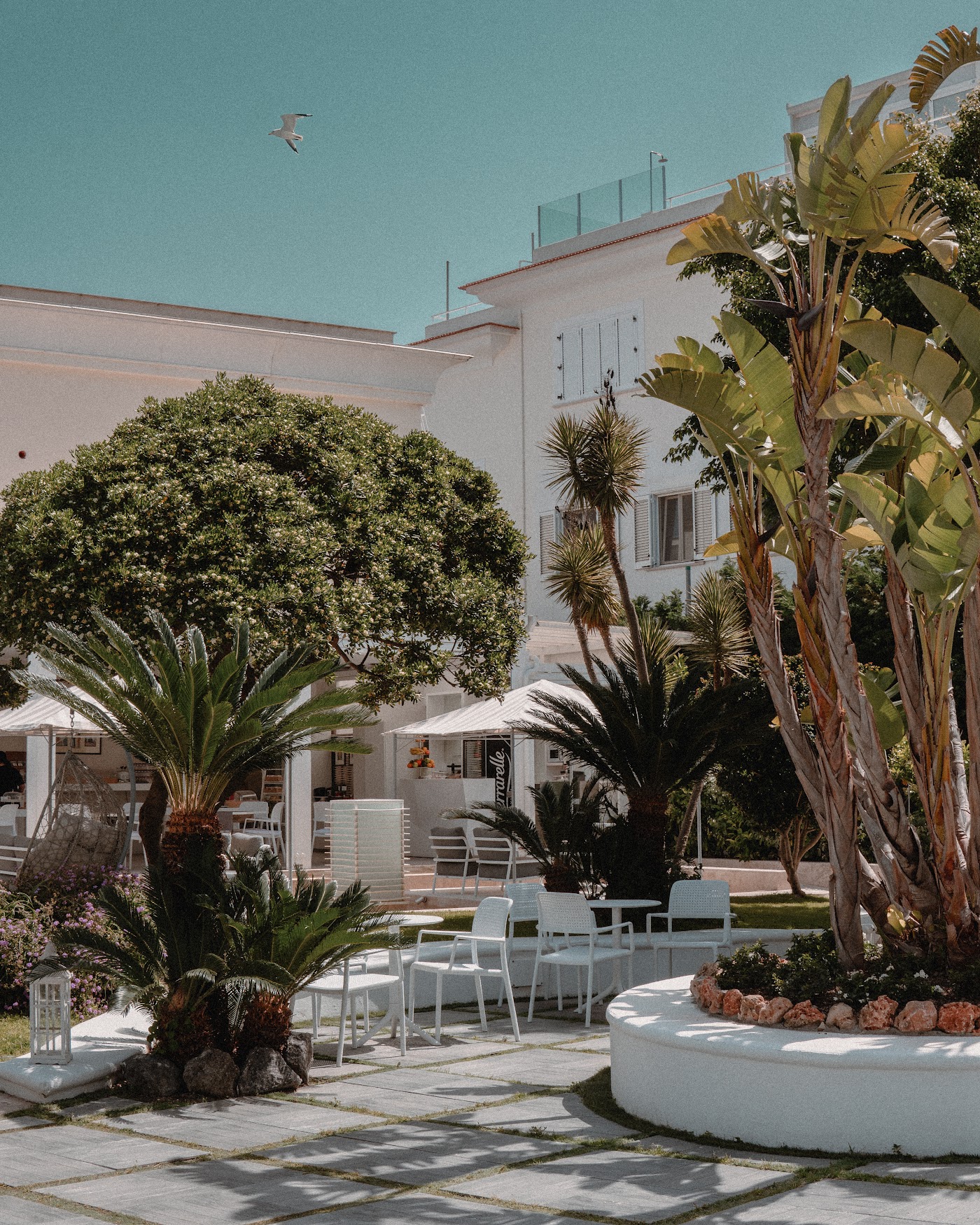 Relais Corte degli Aragonesi, dog-friendly hotel, photo 2