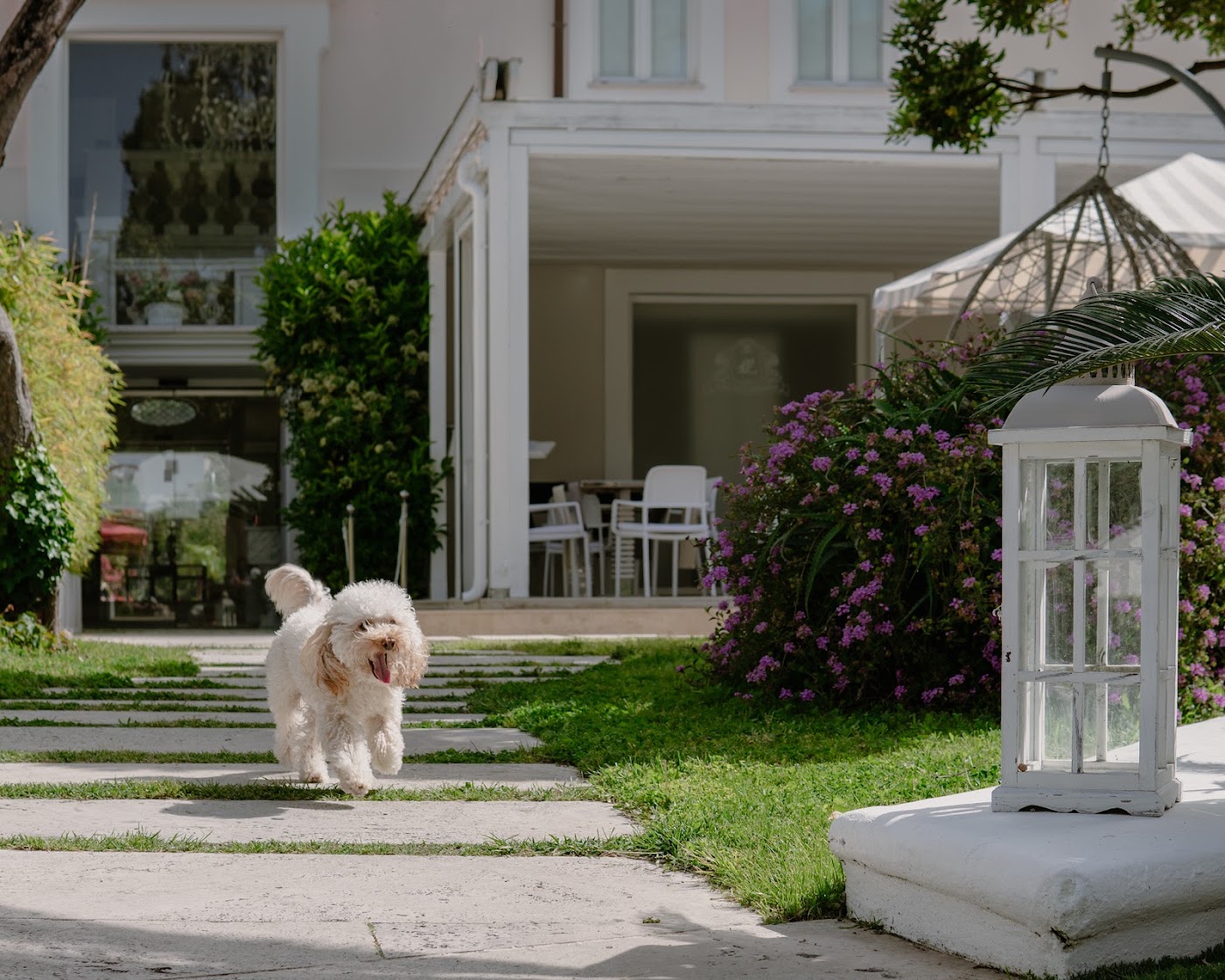 Relais Corte degli Aragonesi, dog-friendly hotel, photo 5