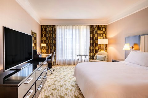 Renaissance Brussels Hotel, dog-friendly hotel, photo 3