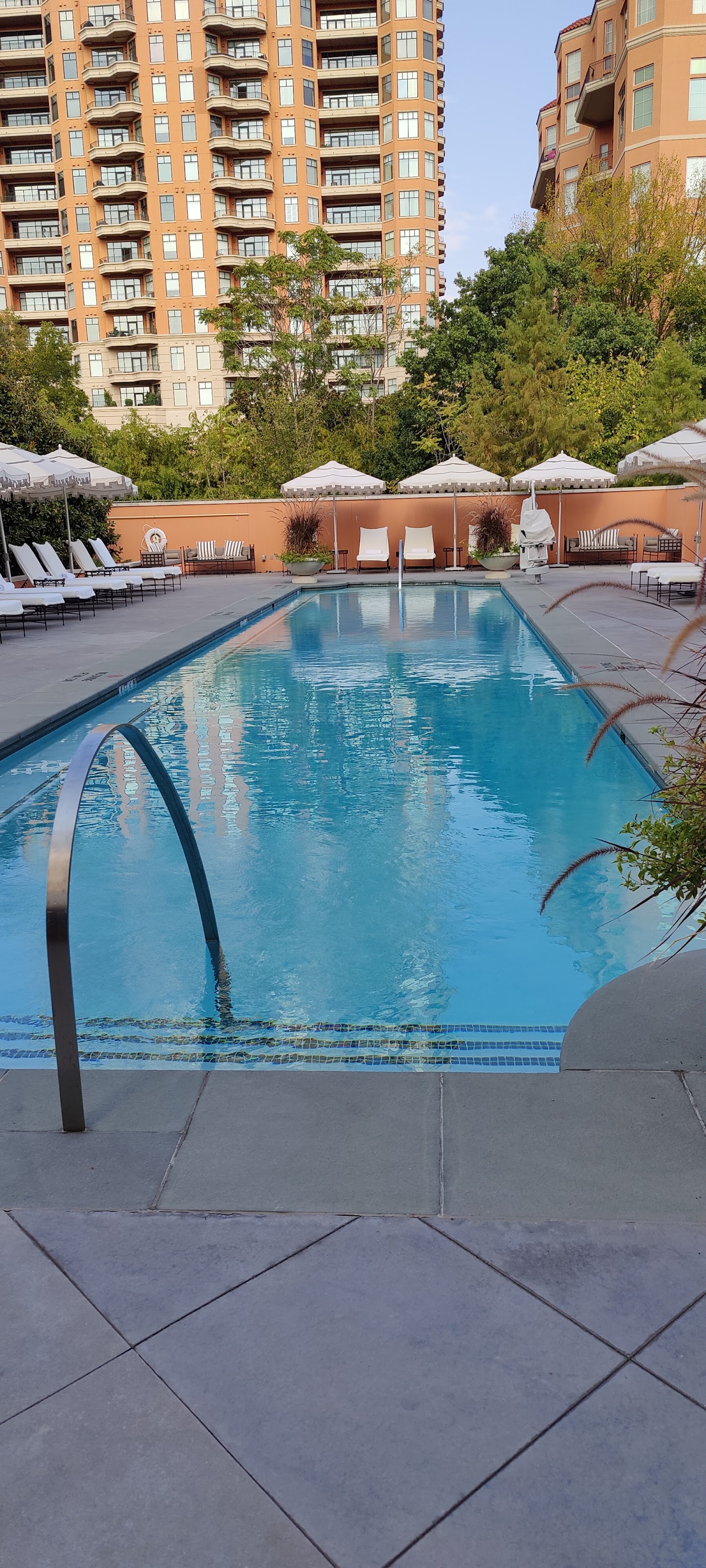 Rosewood Mansion on Turtle Creek, dog-friendly hotel, photo 4