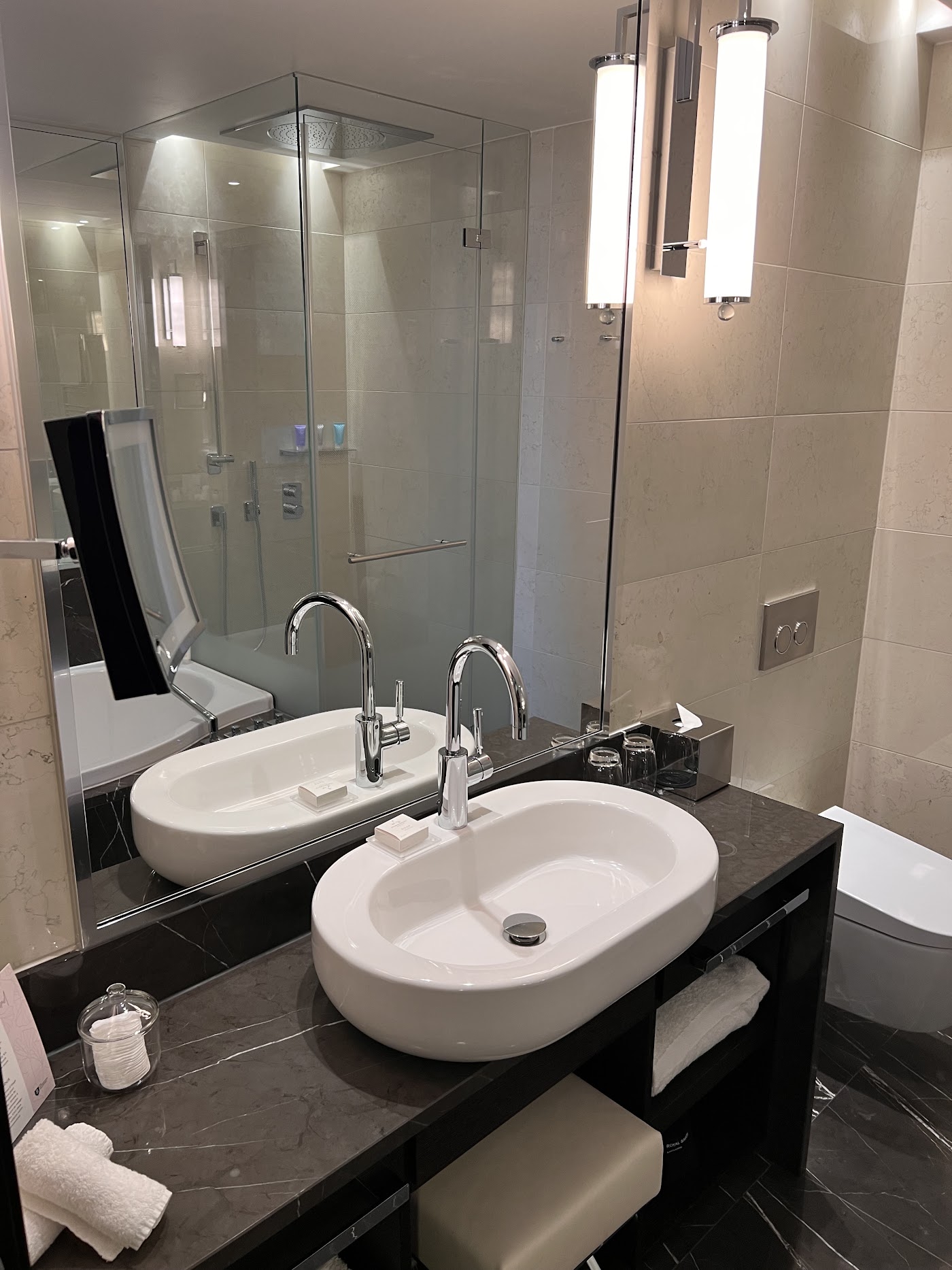 Royal Savoy Hotel & Spa, dog-friendly hotel, photo 4
