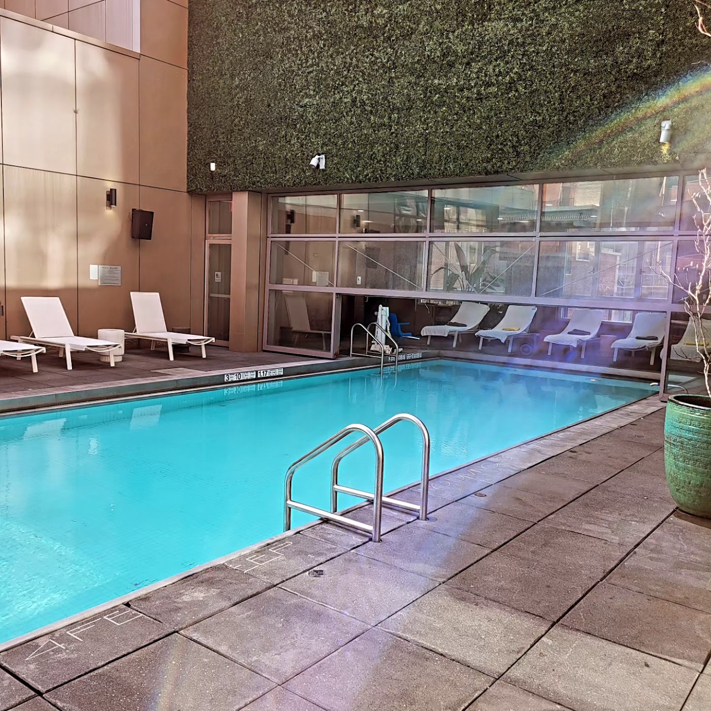 Royalton Park Avenue, dog-friendly hotel, photo 3