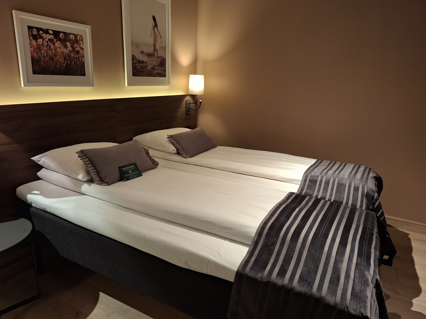 Scandic Bergen City, dog-friendly hotel, photo 3