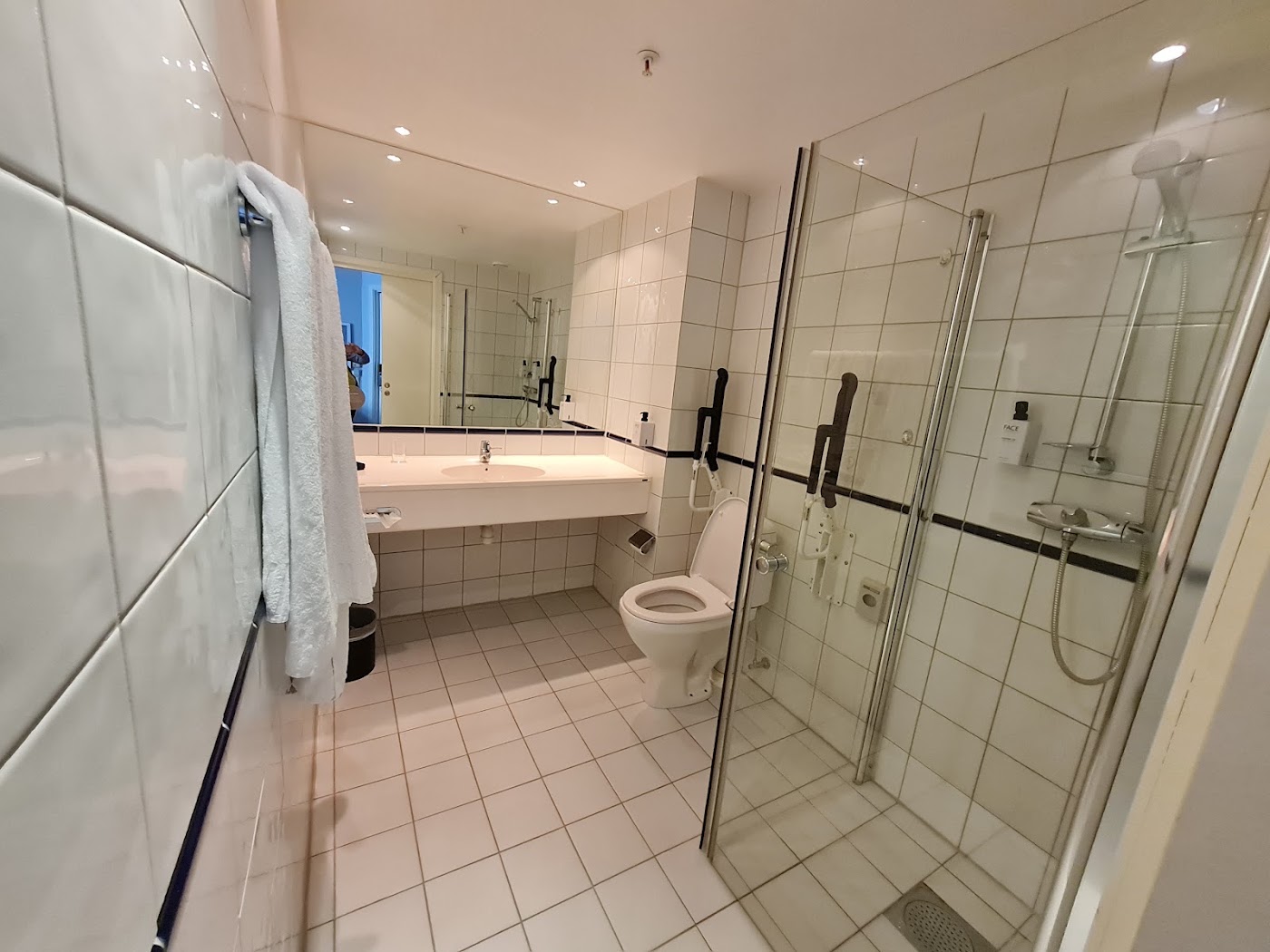 Scandic Byparken, dog-friendly hotel, photo 4