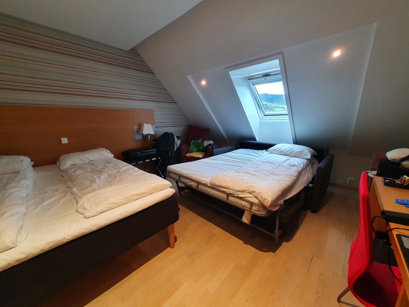 Scandic Byparken, dog-friendly hotel, photo 5