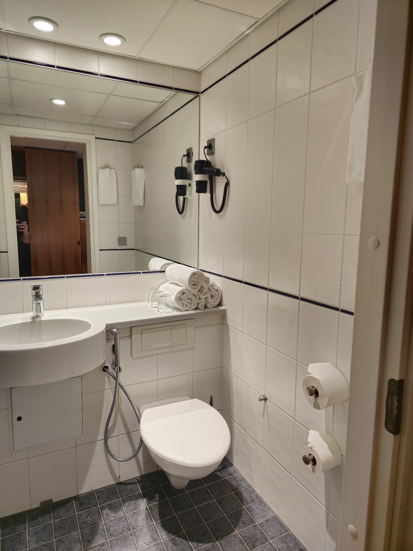 Scandic Espoo, dog-friendly hotel, photo 4