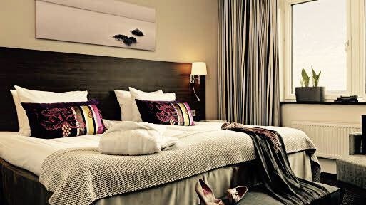 Scandic Malmen, dog-friendly hotel, photo 2