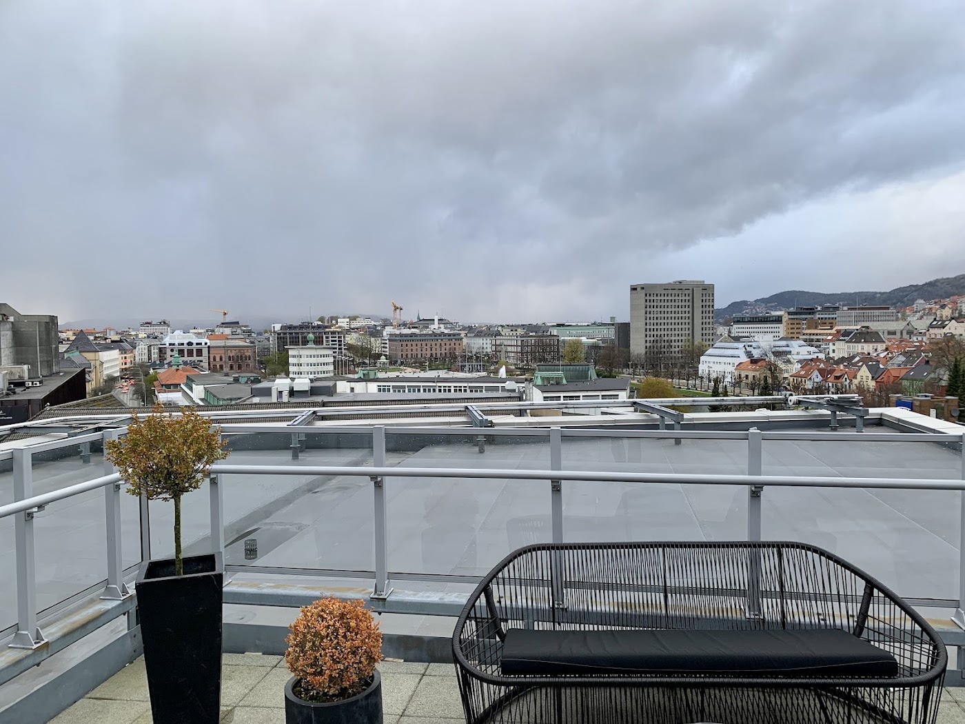 Scandic Ørnen, dog-friendly hotel, photo 2