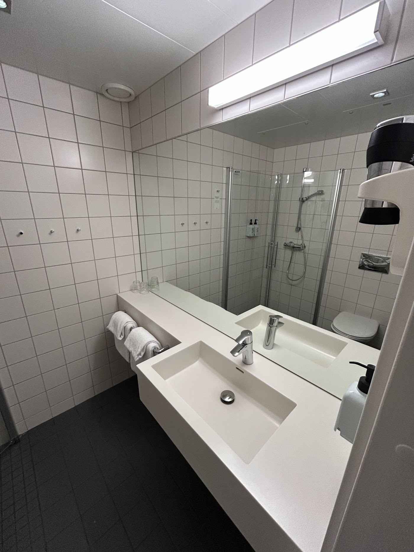 Scandic Oslo Airport, dog-friendly hotel, photo 5