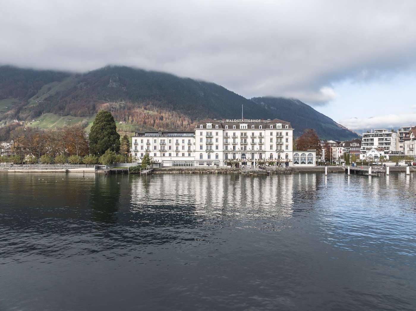 Seehotel Waldstätterhof Swiss Quality, dog-friendly hotel, photo 2