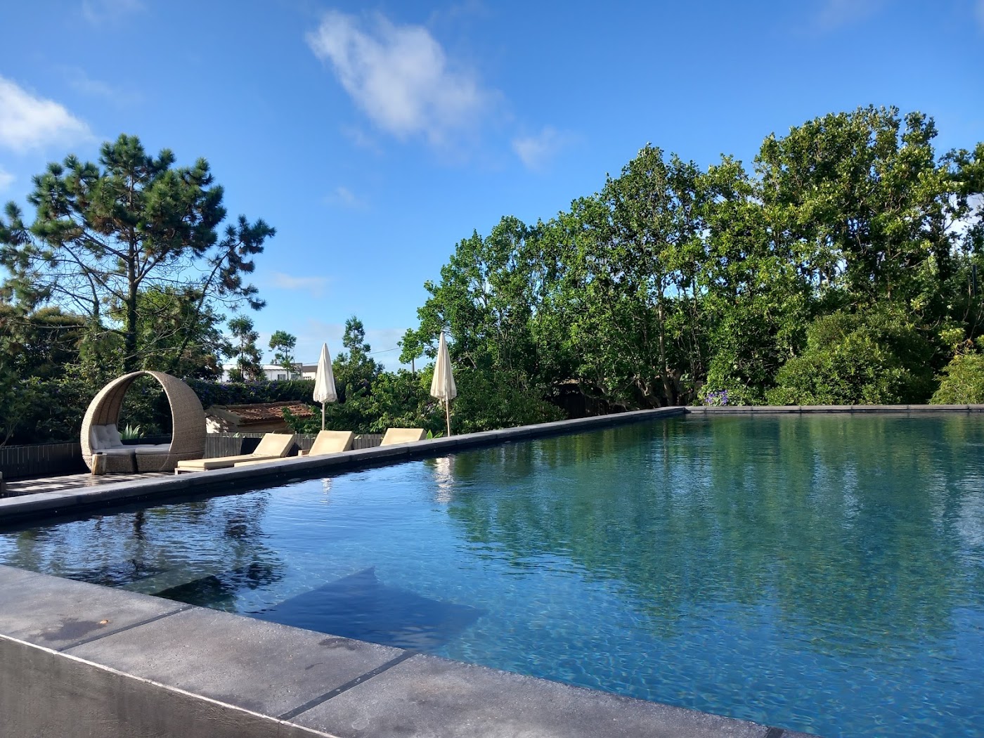 Senhora da Rosa, dog-friendly hotel, photo 4