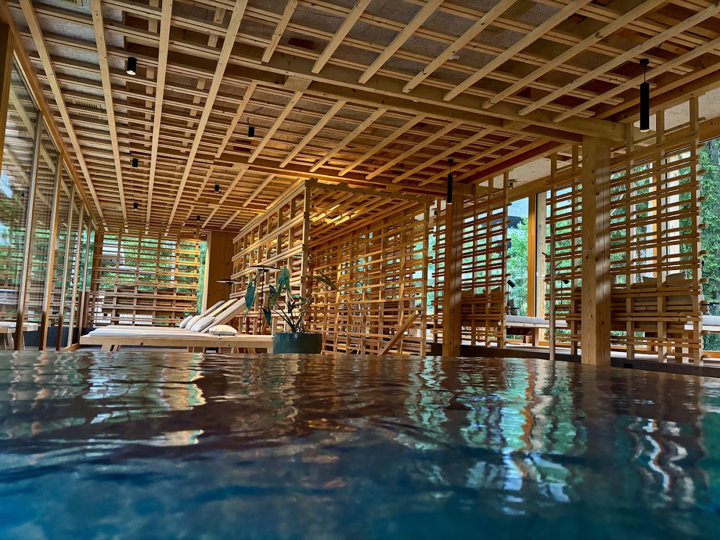 Sensoria Dolomites, dog-friendly hotel, photo 4