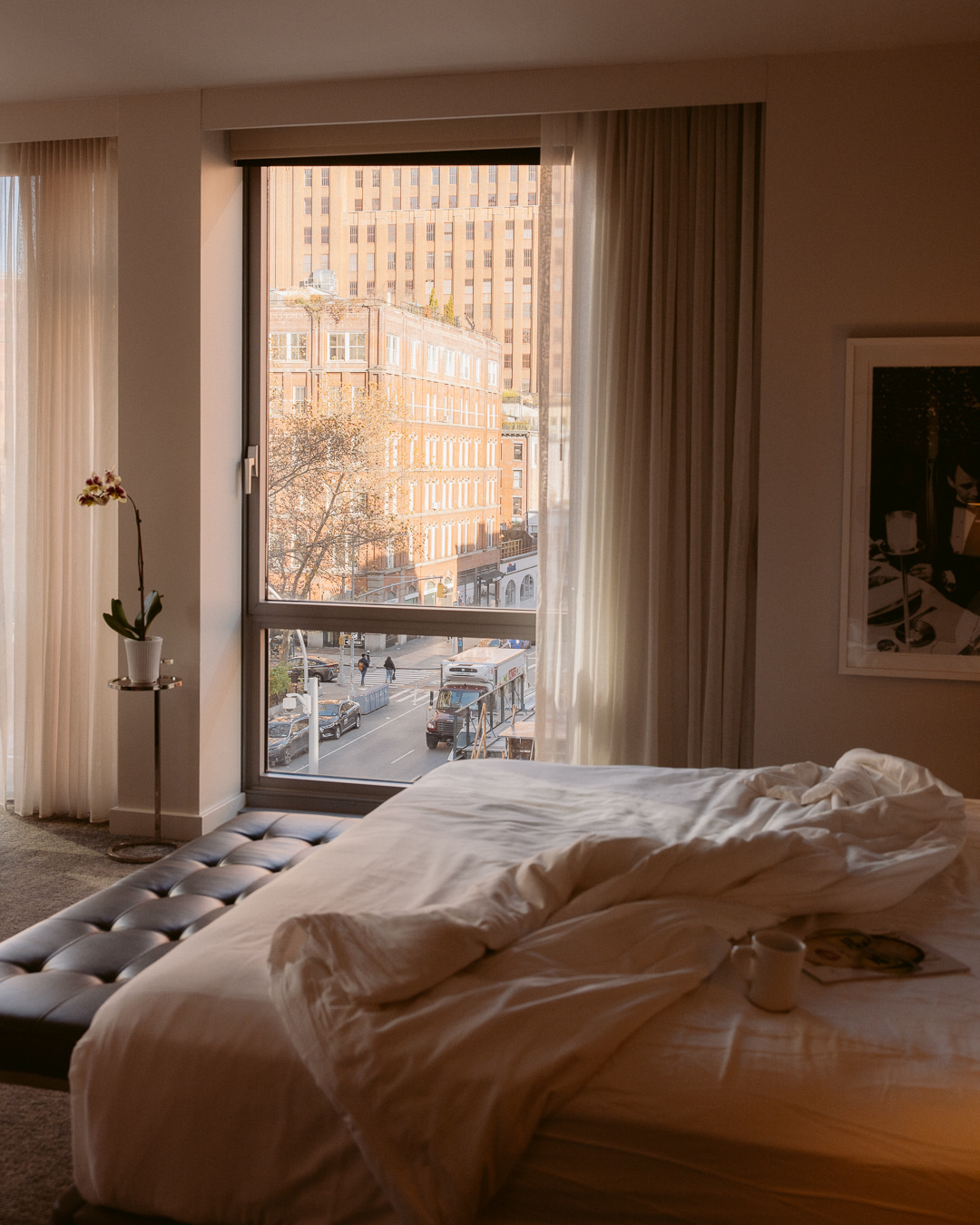 Smyth Tribeca, dog-friendly hotel, photo 3