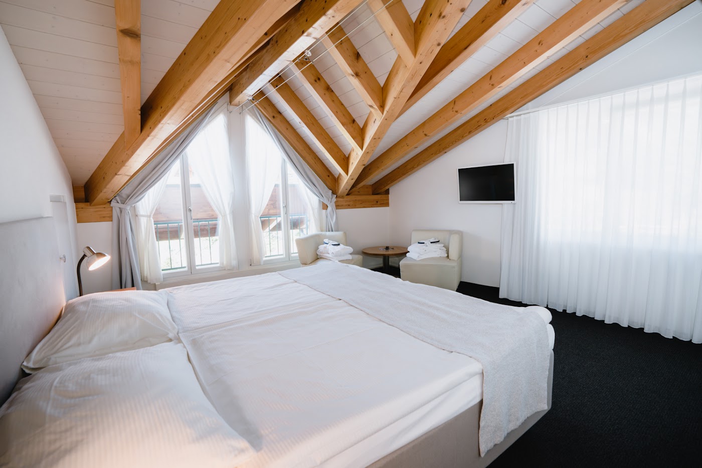 Solbadhotel Sigriswil, dog-friendly hotel, photo 3
