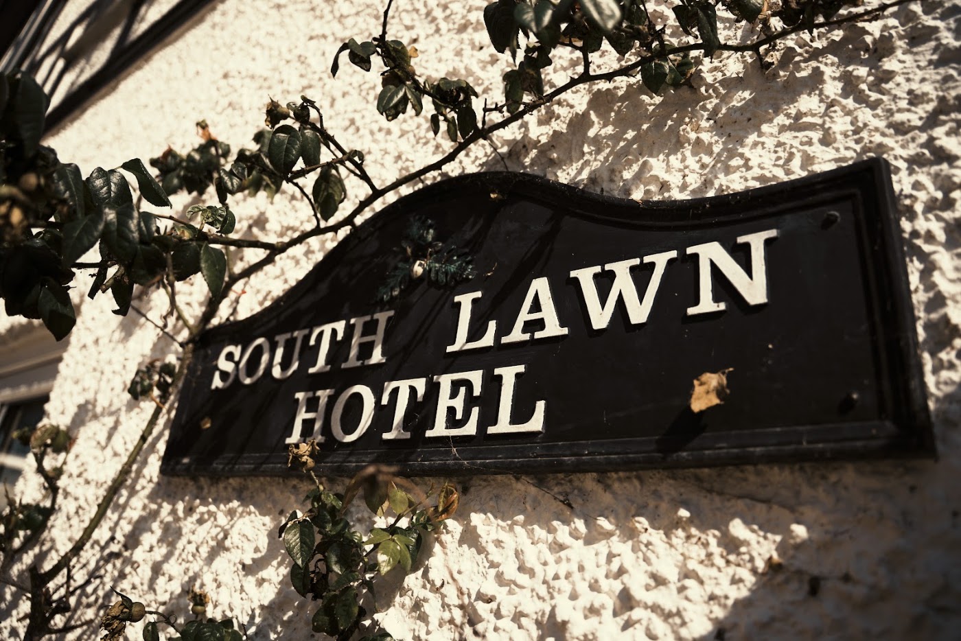 South Lawn Hotel, dog-friendly hotel, photo 5