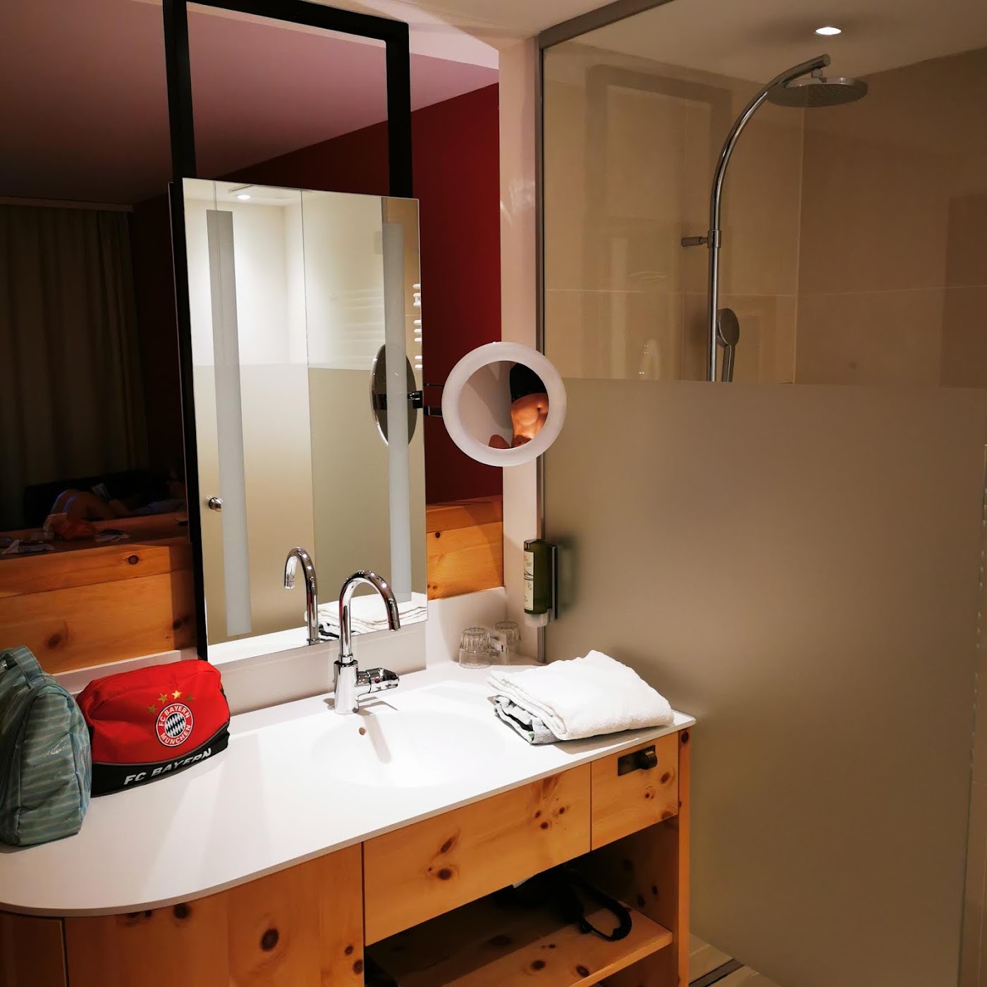 SPA Hotel Erzherzog Johann, dog-friendly hotel, photo 5