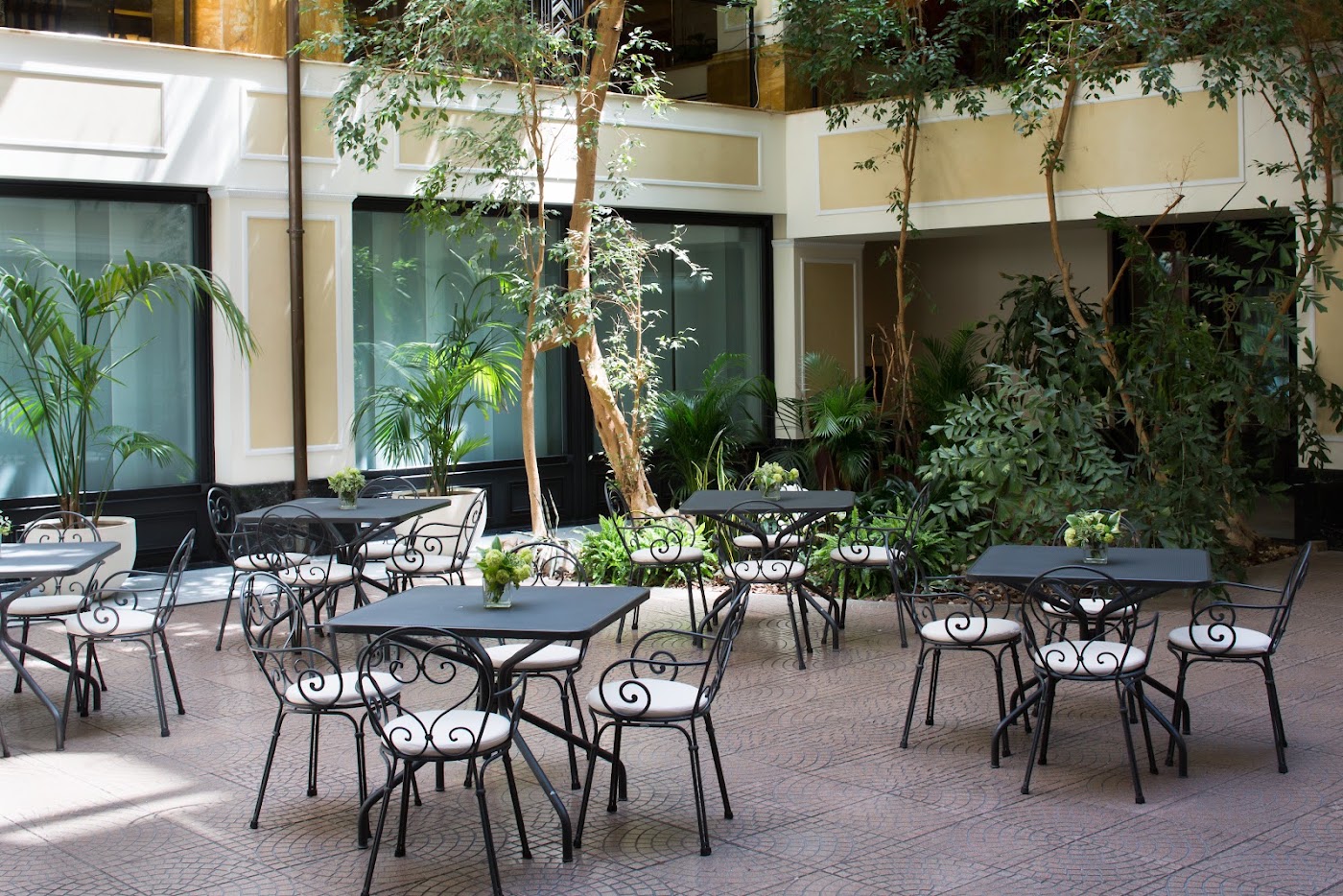 Starhotels Du Parc, dog-friendly hotel, photo 2