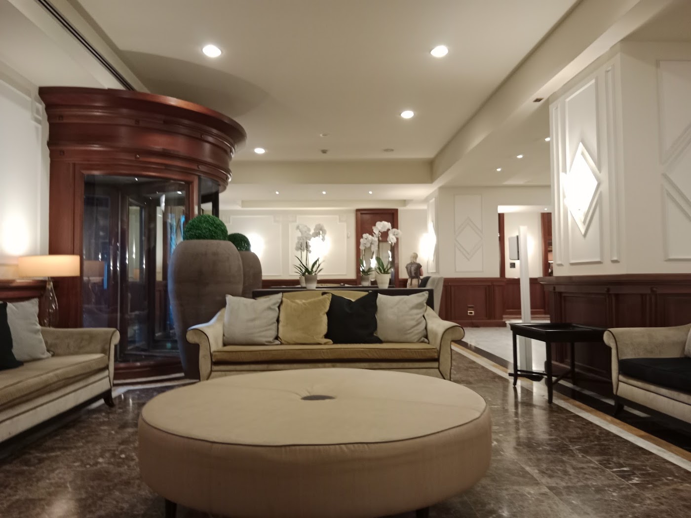 Starhotels Majestic, dog-friendly hotel, photo 3
