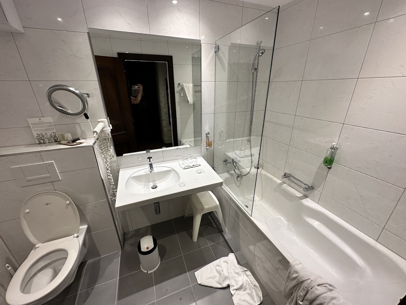 Swiss-Chalet Merlischachen, dog-friendly hotel, photo 5